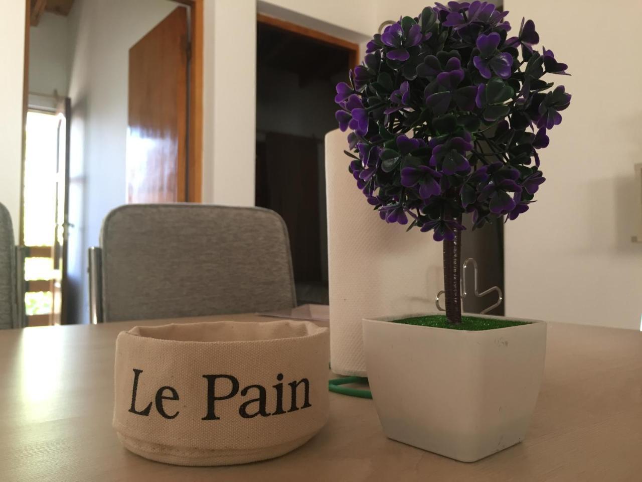 Apartamentos Irigoyen San Rafael  Esterno foto